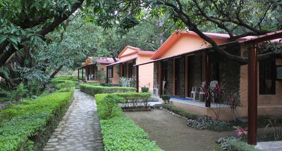 Krishna Wildernes Retreat, Corbett 1